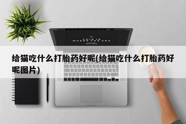 现在买打胎药怎么买多少钱给猫吃什么打胎药好呢(给猫吃什么打胎药好呢图片)