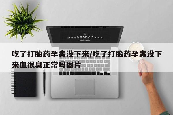 现在买打胎药怎么买多少钱吃了打胎药孕囊没下来/吃了打胎药孕囊没下来血很臭正常吗图片